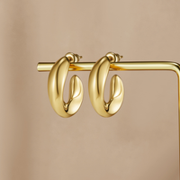 Twisted Sarah Hoop Earrings