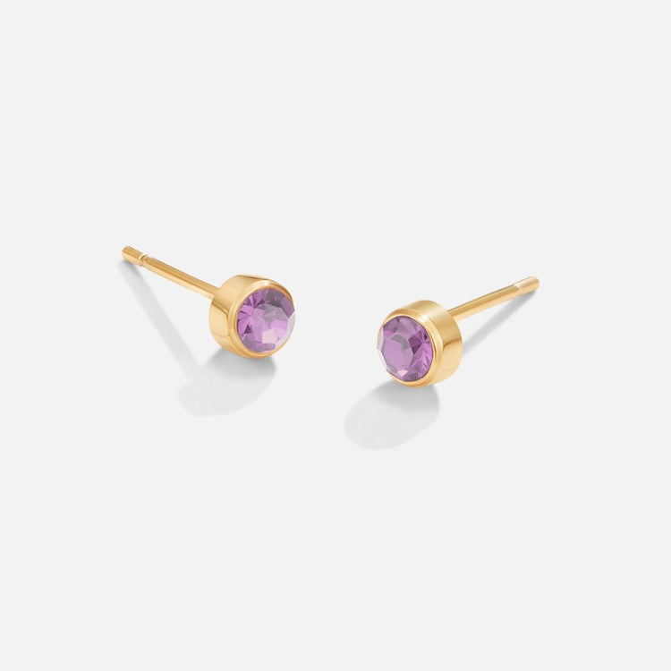 Birthstone Stud Earrings, pair of gold studs with round purple gems, shown on white